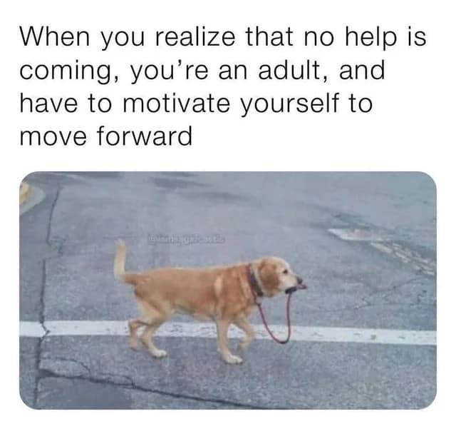 self care memes, self love memes, wellness humor, relaxation humor, personal growth memes, self-help humor, wellness laughs