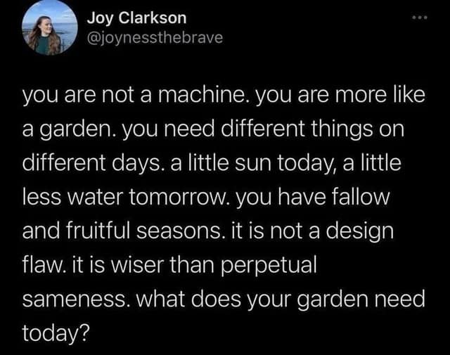 self care memes, self love memes, wellness humor, relaxation humor, personal growth memes, self-help humor, wellness laughs