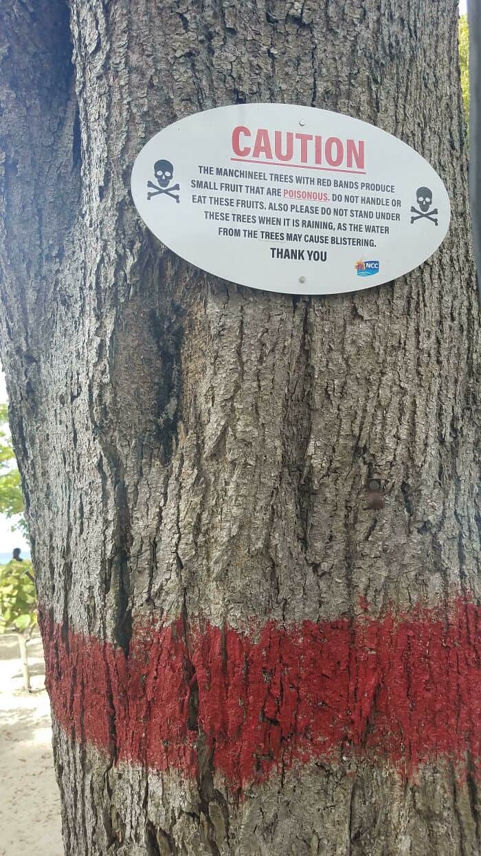 spooky signs, spooky memes, eerie signs, haunted signs, creepy signs creepy signs, unsettling signs, ghostly signs eerie signs, paranormal signs, mysterious signs