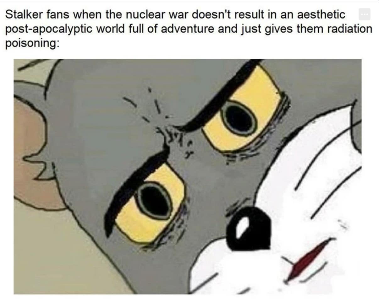 stalker 2 memes, stalker memes, Stalker 2 memes, Stalker memes, game release memes, Stalker humor, video game memes, delayed game memes, RPG memes, post-apocalyptic memes, gaming community jokes