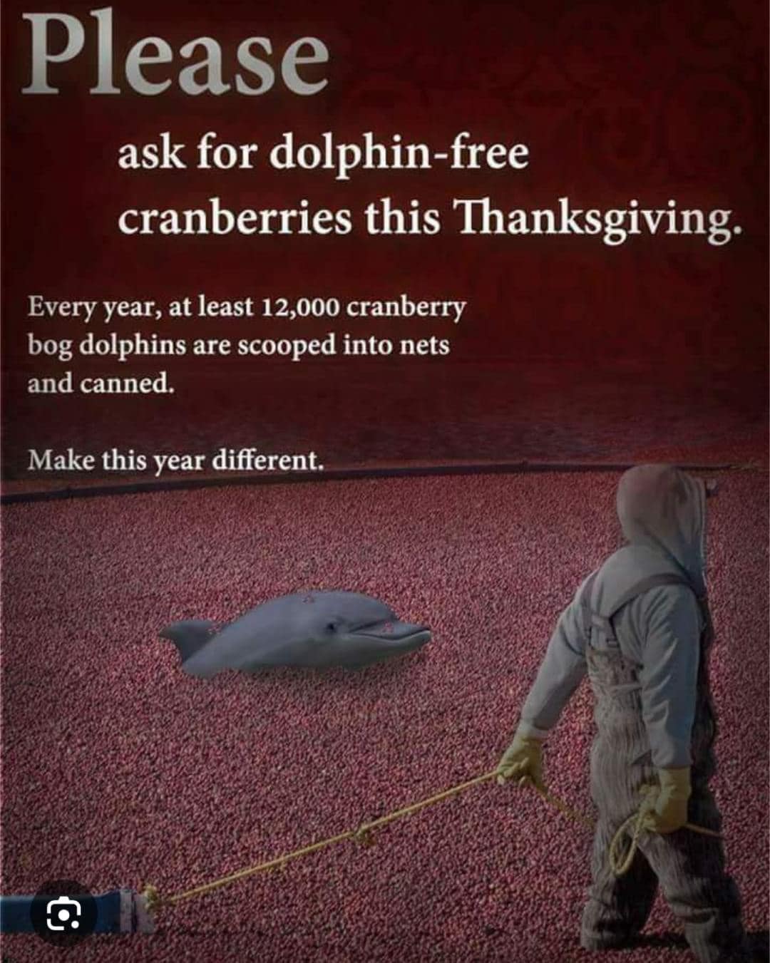 thanksgiving meme, thanksgiving day memes, Thanksgiving memes, Thanksgiving jokes, Thanksgiving humor, Thanksgiving funny, holiday memes, festive jokes, Thanksgiving humor, Thanksgiving jokes, holiday funny, festive humor