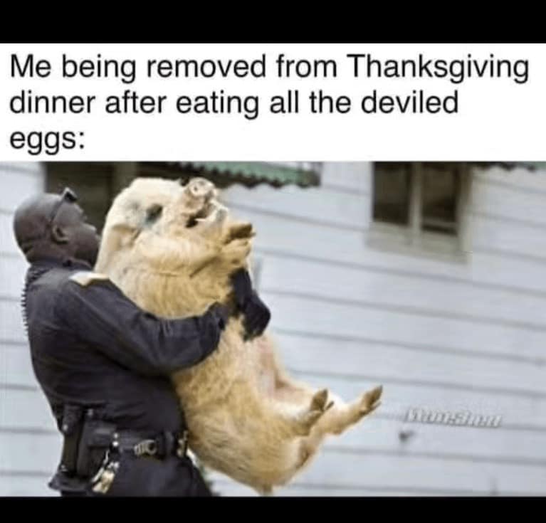 thanksgiving meme, thanksgiving day memes, Thanksgiving memes, Thanksgiving jokes, Thanksgiving humor, Thanksgiving funny, holiday memes, festive jokes, Thanksgiving humor, Thanksgiving jokes, holiday funny, festive humor