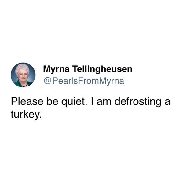 Please be quiet. I am defrosting a turkey.