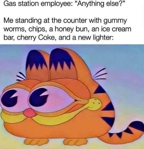 Gas station employee: "Anything else?" Me standing at the counter with gummy worms, chips, a honey bun, an ice cream bar, cherry Coke, and a new lighter: