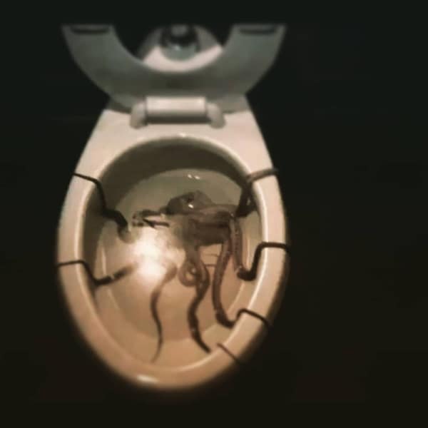 toilets with threatening auras, ominous toilets, creepy toilets, scary bathroom signs creepy toilets, ominous bathroom decor, unsettling restroom designs hilarious toilets, spooky bathroom fixtures, funny restroom signs