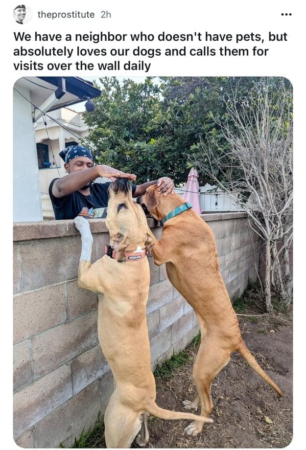 feel-good memes, uplifting memes, Positive memes, encouraging memes, inspirational memes, Cute memes, adorable memes, sweet memes, Kindness memes, compassionate memes, caring memes