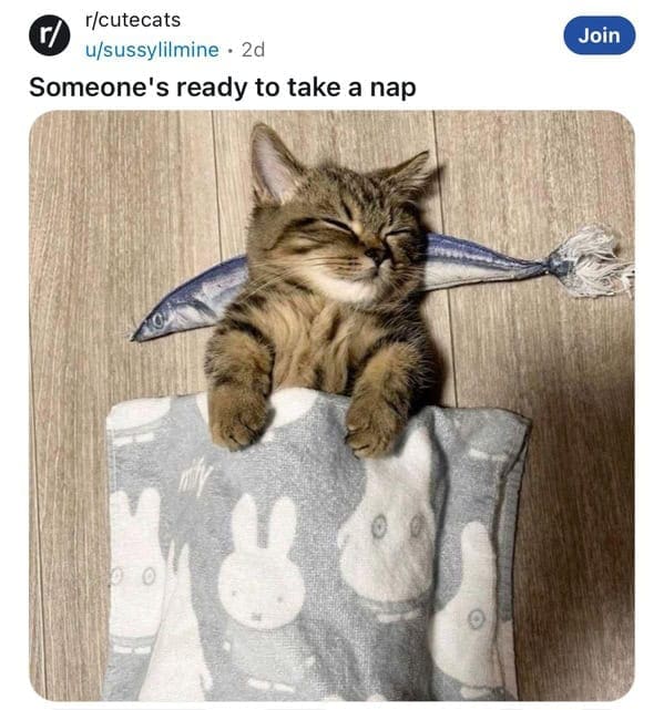 feel-good memes, uplifting memes, Positive memes, encouraging memes, inspirational memes, Cute memes, adorable memes, sweet memes, Kindness memes, compassionate memes, caring memes