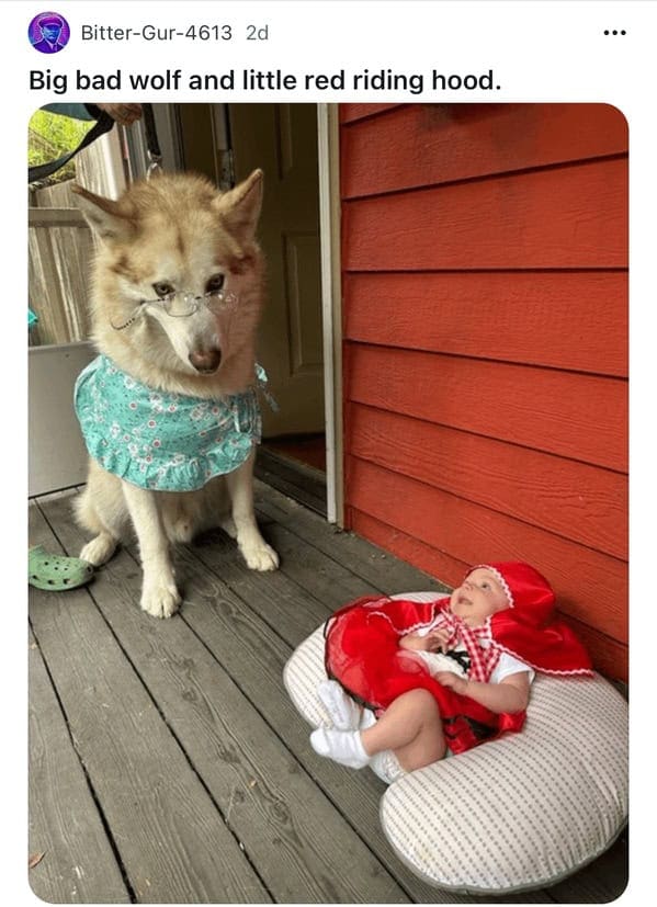 feel-good memes, uplifting memes, Positive memes, encouraging memes, inspirational memes, Cute memes, adorable memes, sweet memes, Kindness memes, compassionate memes, caring memes