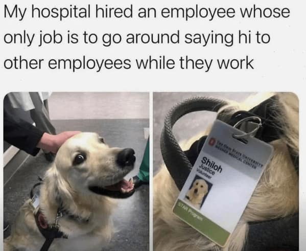 wholesome memes, heartwarming memes, positive memes, positive memes, heartwarming content, feel-good memes, uplifting memes, motivational memes, inspiring memes