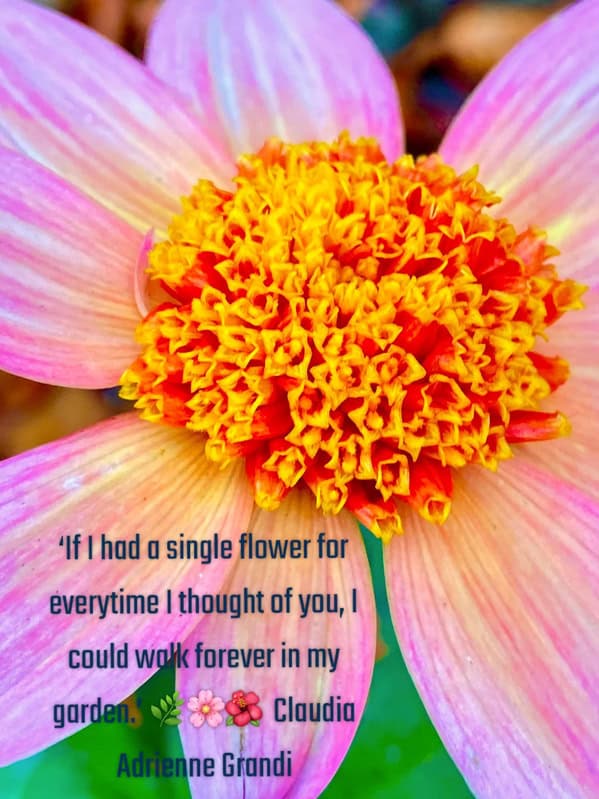 feel-good memes, uplifting memes, Positive memes, encouraging memes, inspirational memes, Cute memes, adorable memes, sweet memes, Kindness memes, compassionate memes, caring memes