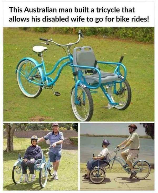 wholesome memes, heartwarming facts, heartwarming memes, uplifting memes, positive memes, good vibes memes, feel-good memes, sweet memes, inspiring memes