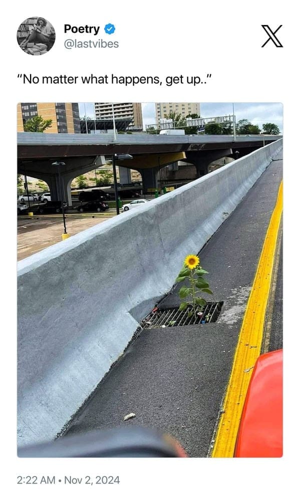 feel-good memes, uplifting memes, Positive memes, encouraging memes, inspirational memes, Cute memes, adorable memes, sweet memes, Kindness memes, compassionate memes, caring memes