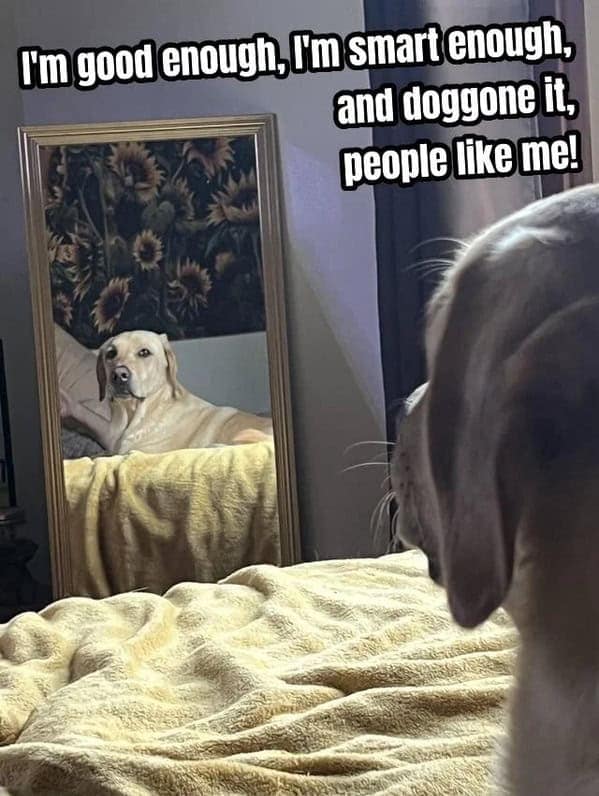wholesome memes, heartwarming memes, positive memes, positive memes, heartwarming content, feel-good memes, uplifting memes, motivational memes, inspiring memes