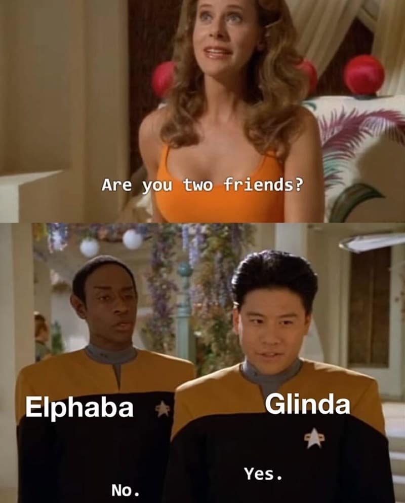 wicked movie memes, Wicked film memes, Wicked movie humor, Wicked cinema memes, movie premiere memes, film premiere memes, premiere night memes, Wicked memes