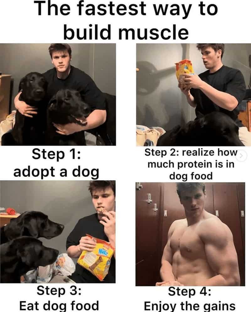 The fastest way to build muscle Step 1: adopt a dog Step 2: realize how much protein is in dog food Step 3: Eat dog food Step 4: Enjoy the gains