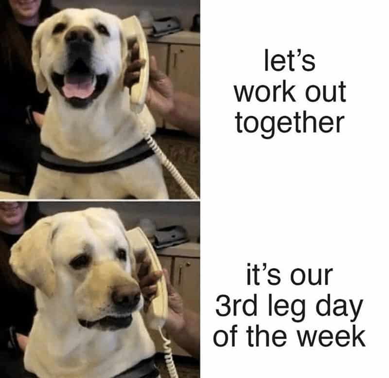 workout memes, gym memes, fitness humor, gym jokes, exercise laughter, exercise memes, fitness funnies, workout humor