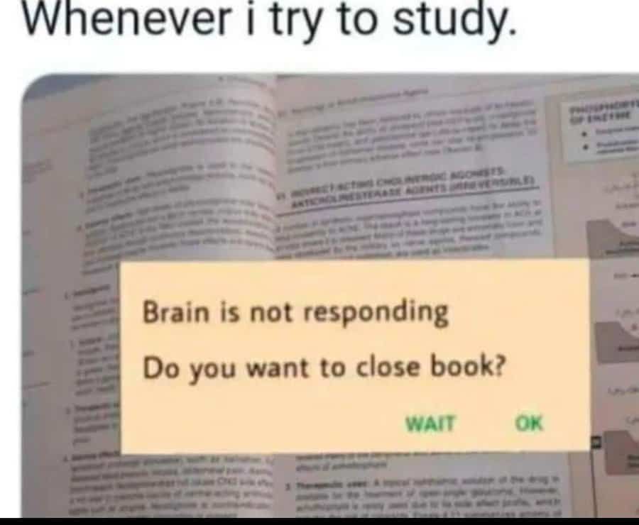 ADHD memes, ADHD meme collection, ADHD meme gallery, ADHD-themed memes, ADHD humor, ADHD comedy, ADHD funny commentary, ADHD comedic relief funny ADHD content, ADHD amusing posts, ADHD entertaining material, ADHD laughter triggers ADHD relatable memes, ADHD everyday struggles, ADHD life moments, ADHD shared experiences