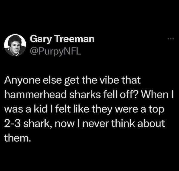 Anyone else get the vibe that hammerhead sharks fell off? When I was a kid I felt like they were a top 2-3 shark, now I never think about them.