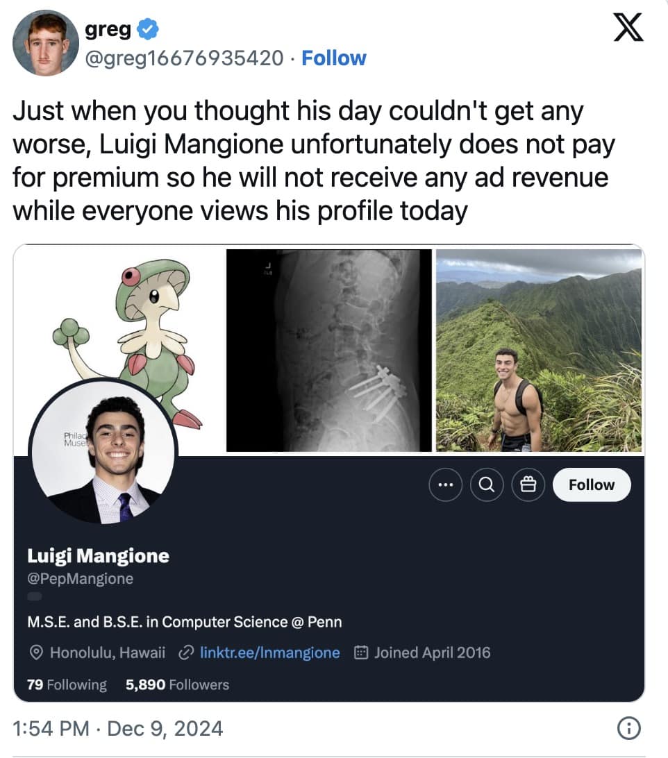 luigi mangione memes, luigi memes, luigi mangione meme, luigi mangione, unitedhealthcare ceo murder memes