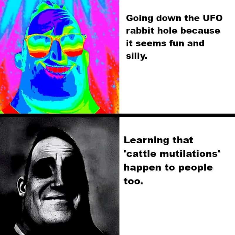 ufo memes, alien memes, ufo meme collection, ufo meme gallery, alien-themed meme posts, extraterrestrial jokes, alien humor, otherworldly laughing stock, ufo meme collection, ufo meme gallery, alien-themed meme posts, extraterrestrial jokes, alien humor, otherworldly laughing stock, cosmic creature laughs, interstellar funnies, galactic giggles