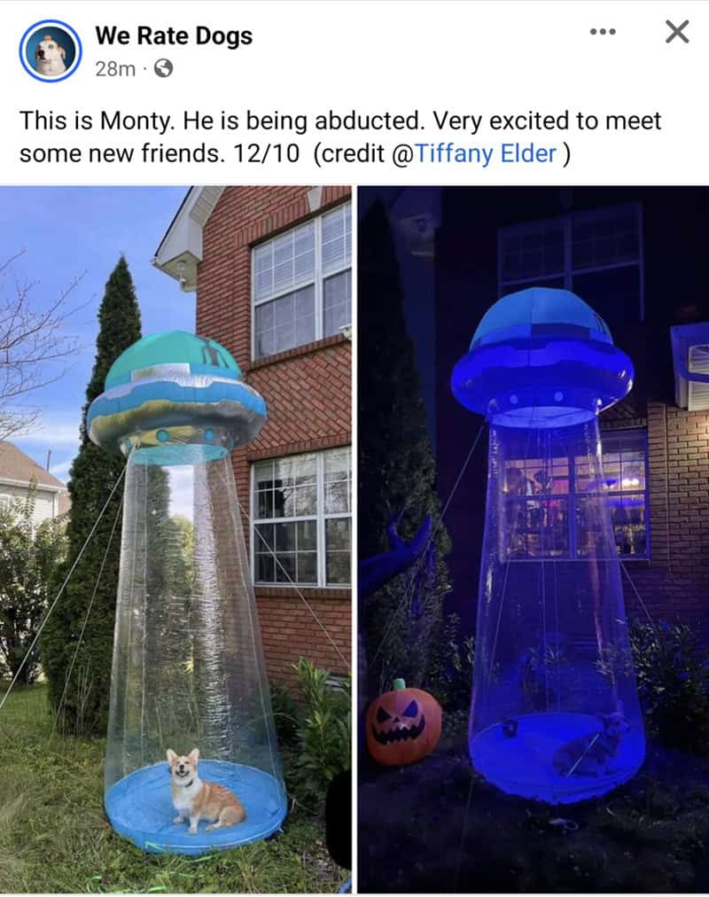 ufo memes, alien memes, ufo meme collection, ufo meme gallery, alien-themed meme posts, extraterrestrial jokes, alien humor, otherworldly laughing stock, ufo meme collection, ufo meme gallery, alien-themed meme posts, extraterrestrial jokes, alien humor, otherworldly laughing stock, cosmic creature laughs, interstellar funnies, galactic giggles