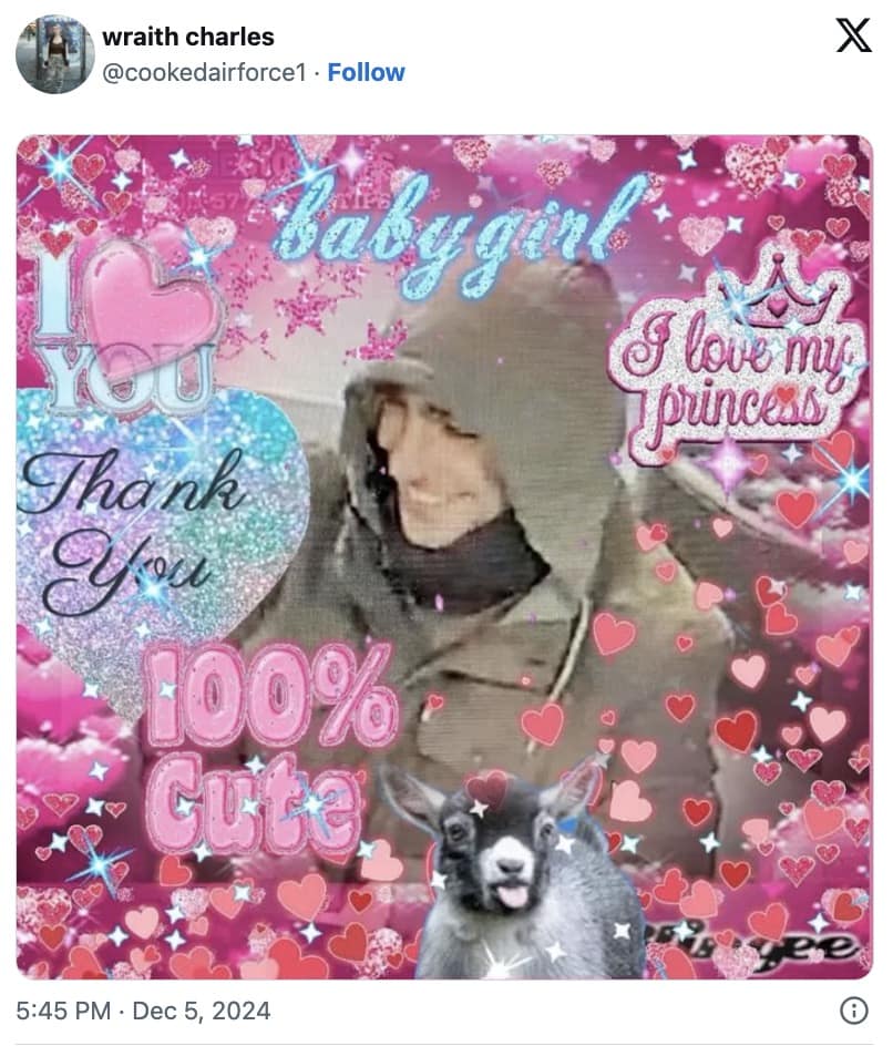 UHC CEO shooter memes, UHC CEO shooting, UHC CEO shooter mugshot memes, Brian Thompson death memes