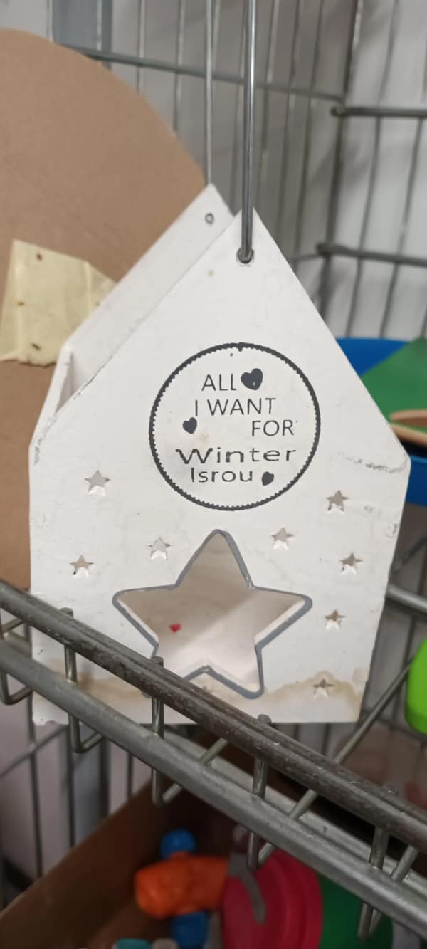 bad translations, translation fails, awkward translations, erroneous translations, comedic language slip-ups, translator blunders, incorrect text conversions, misguided language attempts, funny translations, amusing language twists, humorous text conversions, comedic phrase missteps