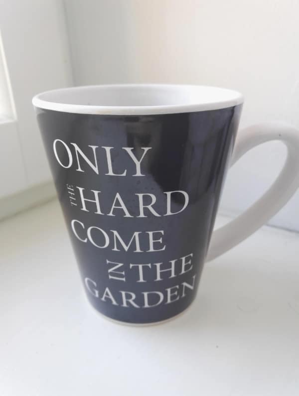 bad translations, translation fails, awkward translations, erroneous translations, comedic language slip-ups, translator blunders, incorrect text conversions, misguided language attempts, funny translations, amusing language twists, humorous text conversions, comedic phrase missteps