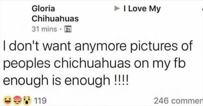 boomer memes, boomer fails, older generation memes, senior memes, vintage generation memes, baby boomer memes, 1960s generation memes, older adult memes, generational humor memes, boomer humor, senior humor, older generation humor, traditional generation comedy, boomer jokes, baby boomer jokes, older generation jokes, generational laughs