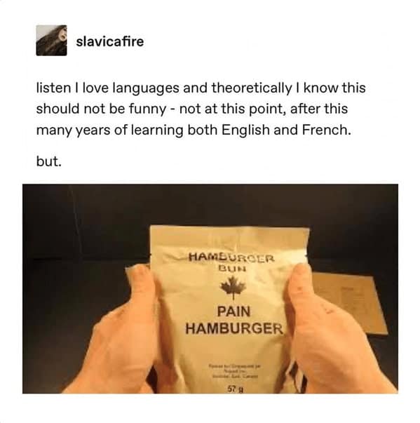 cheeseburger memes, burger memes, cheeseburger meme collection, cheesy burger images, burger-based humor, funny burger memes, witty patty pics, humorous beefy posts, ironic bun visuals, burger humor, sarcastic patty jokes, subtle beef commentary, clever bun banter, quick meal images, convenience dining jokes, speedy takeout laughter
