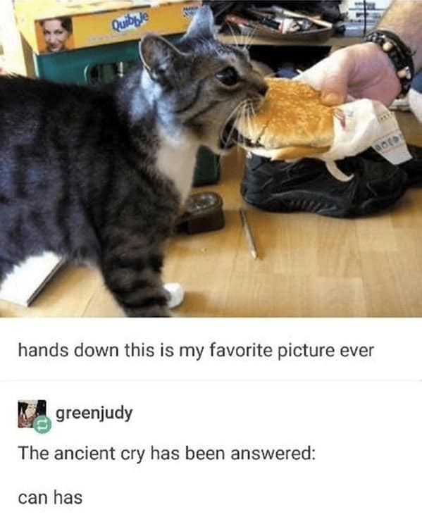 cheeseburger memes, burger memes, cheeseburger meme collection, cheesy burger images, burger-based humor, funny burger memes, witty patty pics, humorous beefy posts, ironic bun visuals, burger humor, sarcastic patty jokes, subtle beef commentary, clever bun banter, quick meal images, convenience dining jokes, speedy takeout laughter