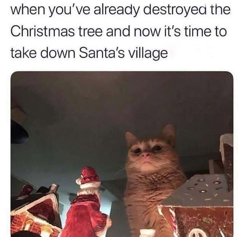 christmas animal memes, Focus keyword + synonyms: Christmas animal memes, holiday creature memes, yuletide pet memes, festive animal images, holiday animal humor, merry creature commentary, joyful festive critter fun, seasonal beastly banter, cheerful furry scenes, holly-jolly animal antics, Xmas pet whimsy