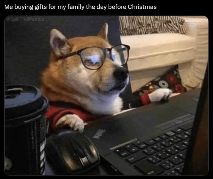 christmas animal memes, Focus keyword + synonyms: Christmas animal memes, holiday creature memes, yuletide pet memes, festive animal images, holiday animal humor, merry creature commentary, joyful festive critter fun, seasonal beastly banter, cheerful furry scenes, holly-jolly animal antics, Xmas pet whimsy