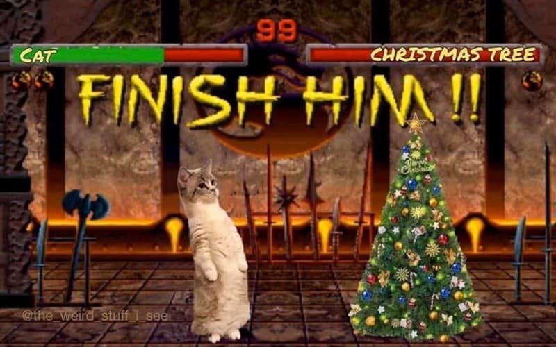 christmas animal memes, Focus keyword + synonyms: Christmas animal memes, holiday creature memes, yuletide pet memes, festive animal images, holiday animal humor, merry creature commentary, joyful festive critter fun, seasonal beastly banter, cheerful furry scenes, holly-jolly animal antics, Xmas pet whimsy