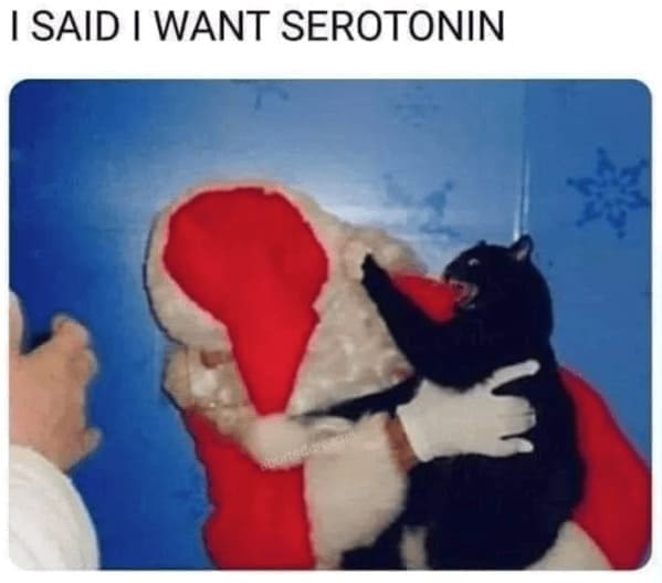 christmas cat memes, festive feline images, holiday kitty humor, yuletide cat jokes, Christmas memes, seasonal funnies, December laughs, end-year humor, festive feline gags, ornament-batting cats, meowy seasonal merriment