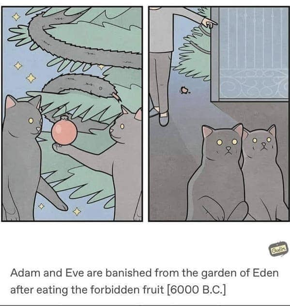 christmas cat memes, festive feline images, holiday kitty humor, yuletide cat jokes, Christmas memes, seasonal funnies, December laughs, end-year humor, festive feline gags, ornament-batting cats, meowy seasonal merriment