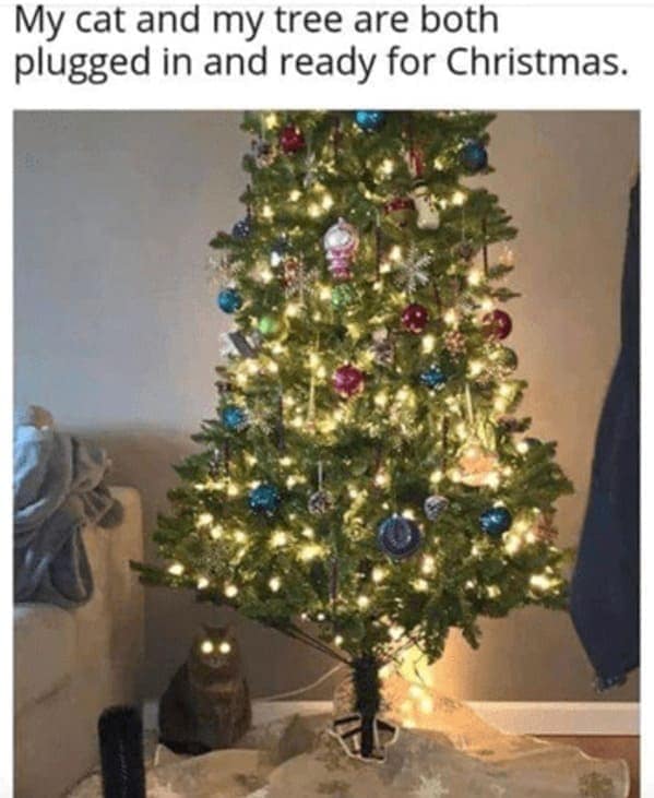 christmas cat memes, festive feline images, holiday kitty humor, yuletide cat jokes, Christmas memes, seasonal funnies, December laughs, end-year humor, festive feline gags, ornament-batting cats, meowy seasonal merriment