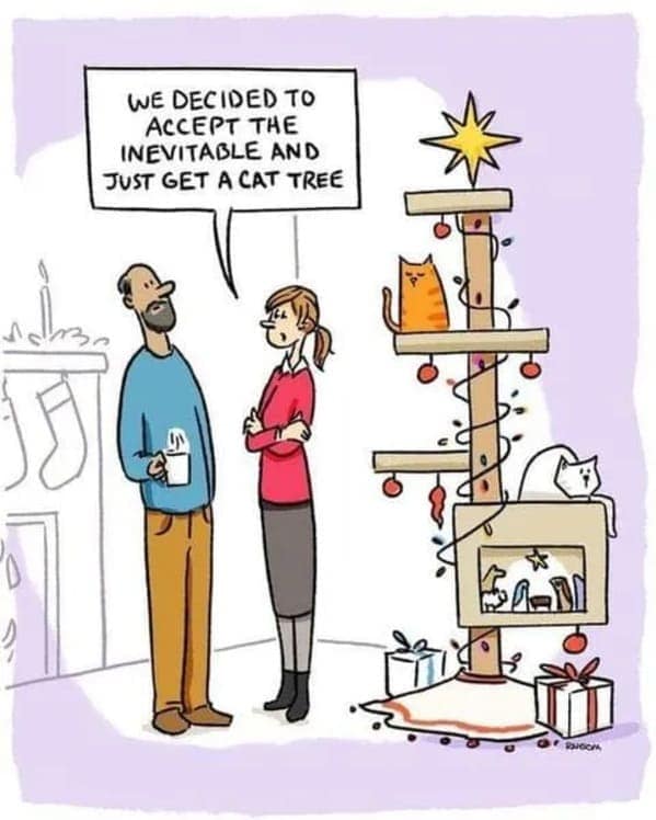 christmas cat memes, festive feline images, holiday kitty humor, yuletide cat jokes, Christmas memes, seasonal funnies, December laughs, end-year humor, festive feline gags, ornament-batting cats, meowy seasonal merriment