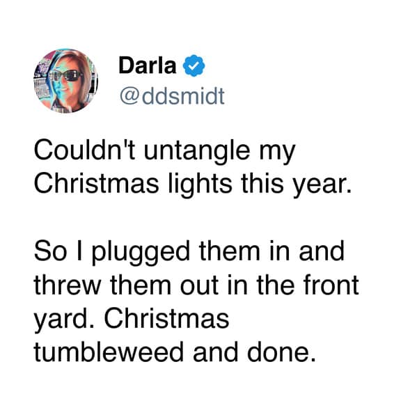Couldn't untangle my Christmas lights this year. So I plugged them in and threw them out in the front yard. Christmas tumbleweed and done.