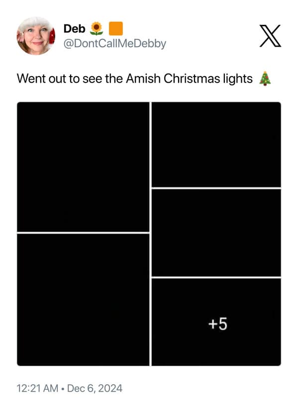 Went out to see the Amish Christmas lights