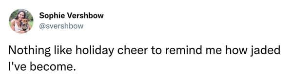 christmas memes, holiday memes, xmas memes, festive memes, yuletide memes, seasonal memes, funny Christmas memes, amusing holiday images, humorous festive jokes, entertaining seasonal visuals