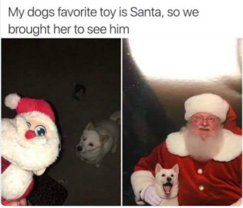 christmas memes, holiday memes, xmas memes, festive memes, yuletide memes, seasonal memes, funny Christmas memes, amusing holiday images, humorous festive jokes, entertaining seasonal visuals