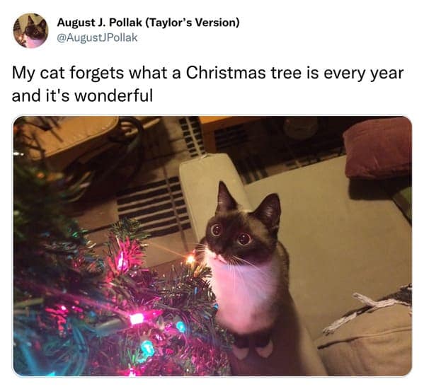 christmas memes, holiday memes, xmas memes, festive memes, yuletide memes, seasonal memes, funny Christmas memes, amusing holiday images, humorous festive jokes, entertaining seasonal visuals