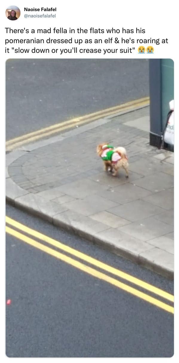 christmas memes, holiday memes, xmas memes, festive memes, yuletide memes, seasonal memes, funny Christmas memes, amusing holiday images, humorous festive jokes, entertaining seasonal visuals