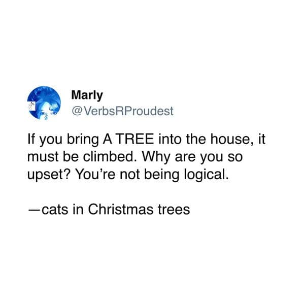 If you bring A TREE into the house, it must be climbed. Why are you so upset? You're not being logical. — cats in Christmas trees