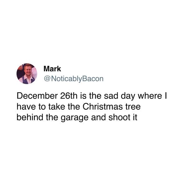 December 26th is the sad day where I have to take the Christmas tree behind the garage and shoot it