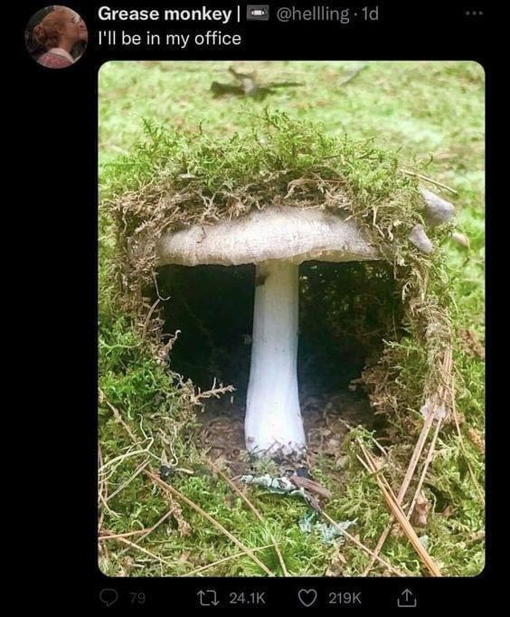 classic memes, vintage memes, viral tweets, old memes, best memes, iconic jokes, trending micro-posts, widely-shared lines, online zingers, popular memes, widespread jokes, mainstream humor pics, crowd-favorite gags, timeless memes, long-lasting funnies, forever-applicable humor, age-proof comedic bits