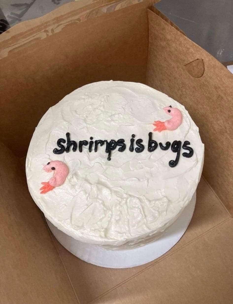 shrimps is bugs cake