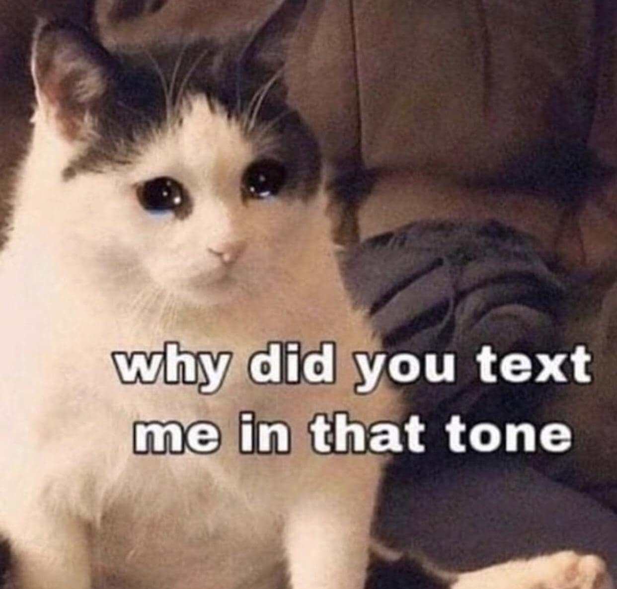 why did you text me in that tone