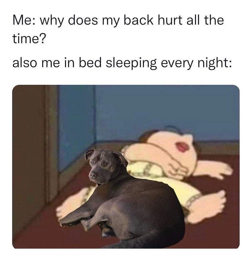 classic memes, vintage memes, viral tweets, timeless memes, vintage memes, old-school internet memes, old memes, retro visuals, nostalgic web laughs, bygone humor bits viral memes, widespread net jokes, far-reaching online fun, ubiquitous digital quips internet meme classics, enduring web legends, celebrated online staples, perennial digital